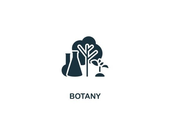 Botany Icon Graphics and Icons Review