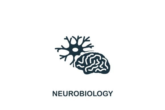 Neurobiology Icon Graphics and Icons Review