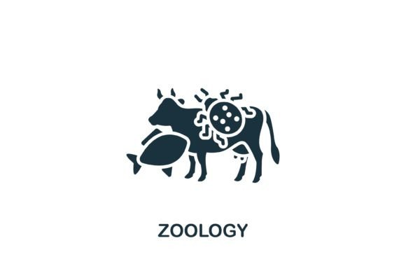 Zoology Icon Graphics and Icons for Editorial Design
